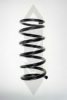 SPIDAN 56734 Coil Spring